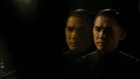 Backdrop to the movie "The Grandmaster" #779575