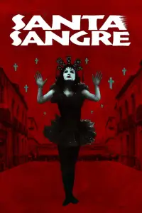 Poster to the movie "Santa Sangre" #973534