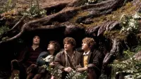 Backdrop to the movie "The Lord of the Rings: The Fellowship of the Ring" #165863