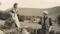 Backdrop to the movie "The Quiet Man" #711838