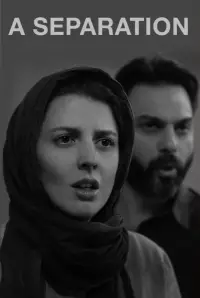 Poster to the movie "A Separation" #675065