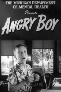 Poster to the movie "Angry Boy" #1114279