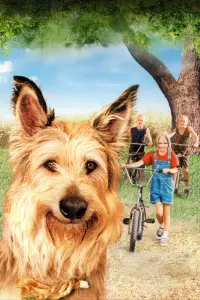 Poster to the movie "Because of Winn-Dixie" #750110