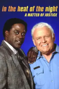 Poster to the movie "In the Heat of the Night: A Matter of Justice" #1133853