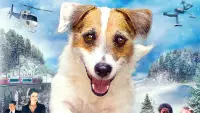Backdrop to the movie "A Doggone Christmas" #773547
