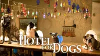Backdrop to the movie "Hotel for Dogs" #964130