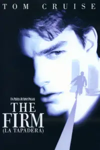 Poster to the movie "The Firm" #658566