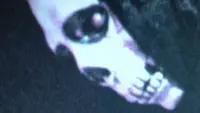 Backdrop to the movie "Mortal Remains" #733413