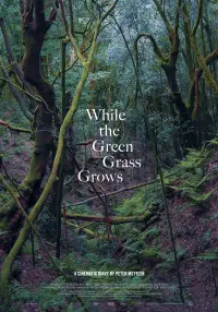 Poster to the movie "While the Green Grass Grows" #923146