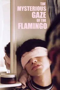 Poster to the movie "The Mysterious Gaze of the Flamingo" #531858