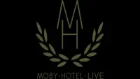 Backdrop to the movie "Moby: Live - Hotel Tour 2005" #875540