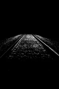 Dark Days
