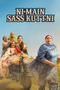 Poster to the movie "Ni Main Sass Kuttni" #859918