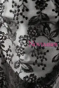 Poster to the movie "November" #1092704