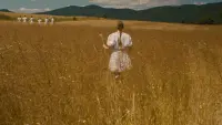 Backdrop to the movie "The Harvest" #741175