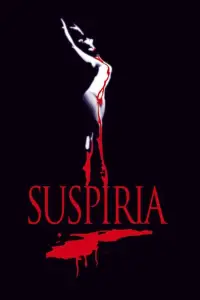 Poster to the movie "Suspiria" #953467