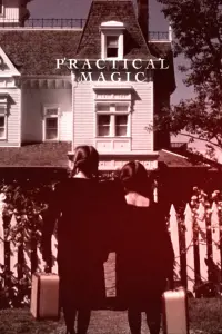 Poster to the movie "Practical Magic" #804888