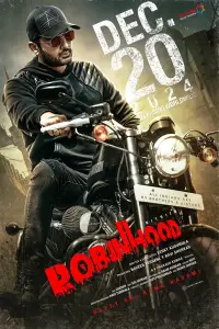 Poster to the movie "Robinhood" #979560