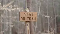 Backdrop to the movie "#17 - To Finish The Barkley Marathons" #418396