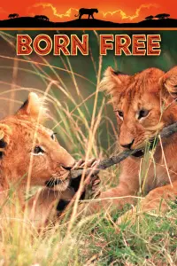 Poster to the movie "Born Free" #987612