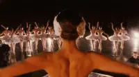 Backdrop to the movie "Black Swan" #803215