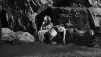 Backdrop to the movie "Creature from the Black Lagoon" #783022