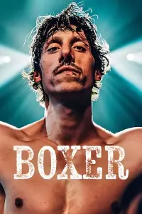 Poster to the movie "Boxer" #635355