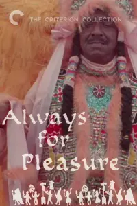 Poster to the movie "Always for Pleasure" #746195