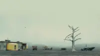 Backdrop to the movie "Blade Runner 2049" #867368