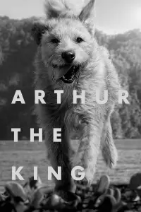 Poster to the movie "Arthur the King" #932973