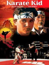 Poster to the movie "The Karate Kid" #649181
