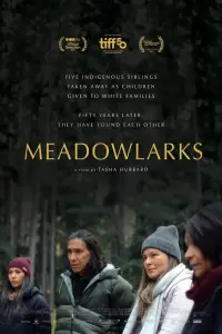 Poster to the movie "Meadowlarks" #1139891
