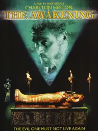 Poster to the movie "The Awakening" #1054493