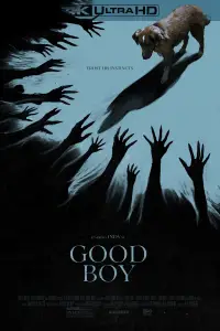 Poster to the movie "Good Boy" #1003495