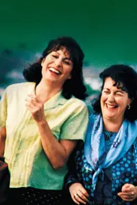 Poster to the movie "Agnes Browne" #1077392