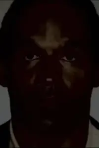 Poster to the movie "O.J.: Made in America" #881972