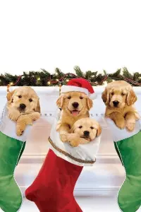 3 Holiday Tails