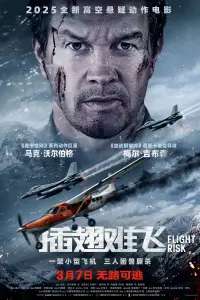 Poster to the movie "Flight Risk" #763540