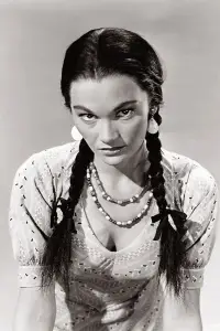 Poster to the movie "The Oklahoman" #743503