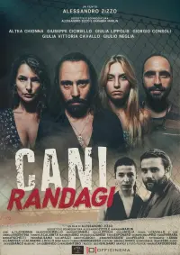 Poster to the movie "Cani Randagi" #449030