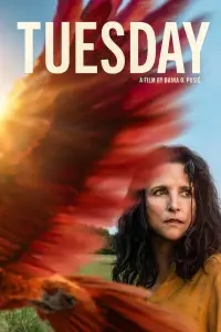 Poster to the movie "Tuesday" #1158464