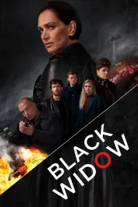 Poster to the movie "Penoza: The Final Chapter" #998954