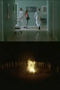 Poster to the movie "The Rite Of Spring" #706552