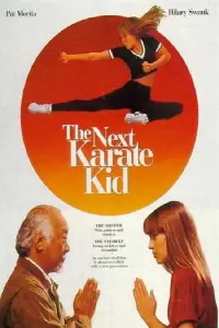 Poster to the movie "The Next Karate Kid" #934328