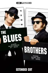 Poster to the movie "The Blues Brothers" #658059
