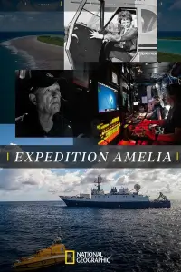 Poster to the movie "Expedition Amelia" #1087256