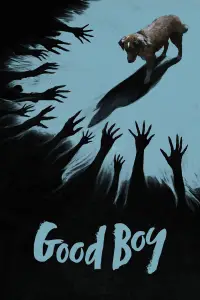 Poster to the movie "Good Boy" #517351