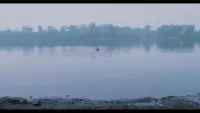 Backdrop to the movie "Blush" #631169