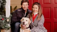 Backdrop to the movie "Christmas Unleashed" #746421