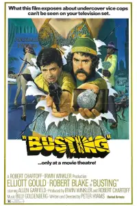 Poster to the movie "Busting" #969811